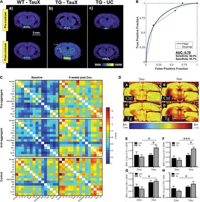 Magnetic Resonance Imaging in Tauopathy Animal Models